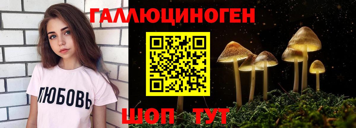 Псилоцибиновые грибы прущие грибы  хочу   Мирный  Вход с VPN  Галлюциногенные грибы прущие грибы 